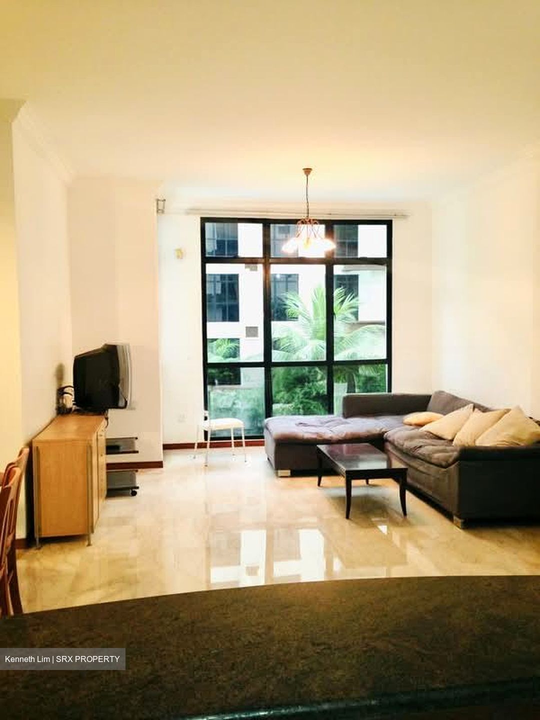 Harbourlights (D4), Apartment #578618921